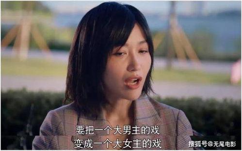 娱乐圈最全吃瓜合集小说